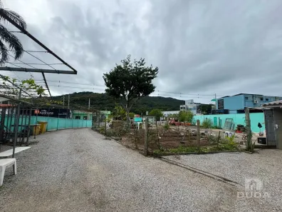 Lote/Terreno à venda, 1106m² no Campeche, Florianópolis