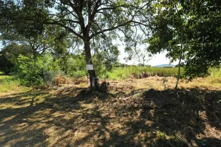 Lote/Terreno à venda, 240m² no Estancia Sao José, Peruíbe