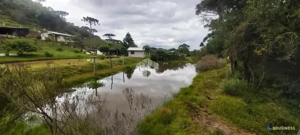 Fazenda/Sítio com 5 Quartos à venda, 10m² no Criúva, Caxias do Sul