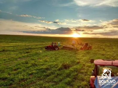 Fazenda/Sítio com 3 Quartos à venda, 8000m² no , Primavera do Leste