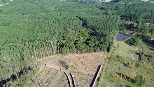 Fazenda/Sítio à venda, 123000000m² no , Triunfo