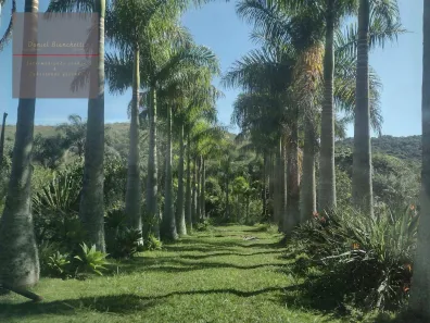 Fazenda/Sítio com 2 Quartos à venda, 290400m² no Ressaquinha, Ressaquinha