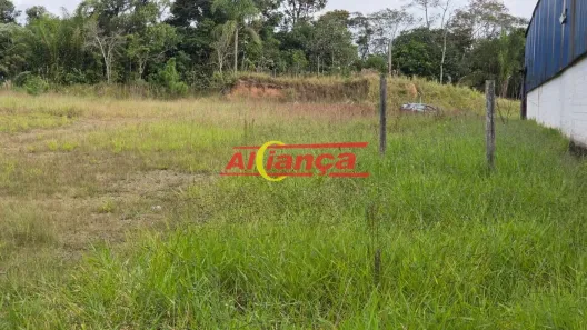 Galpão/Depósito/Armazém à venda, 42000m² no Jardim Novo Portugal, Guarulhos