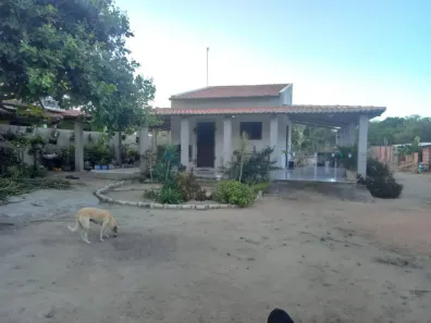 Fazenda/Sítio com 2 Quartos à venda, 2600m² no Manoel Alves de Souza, São José de Mipibu