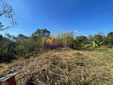 Lote/Terreno à venda, 1000m² no Curral, Ibiúna