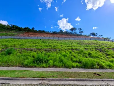 Lote/Terreno à venda, 313m² no Vina Del Mar, Juiz de Fora