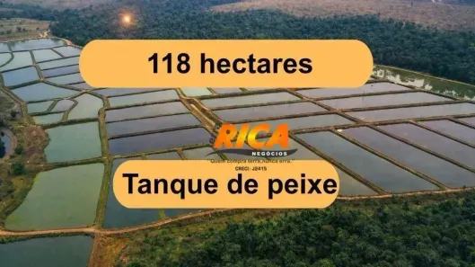 Fazenda/Sítio à venda, 1180000m² no , Machadinho D'Oeste