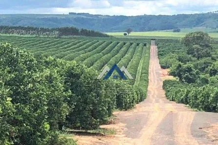 Fazenda/Sítio com 5 Quartos à venda, 680m² no Área Rural de Marília, Marília
