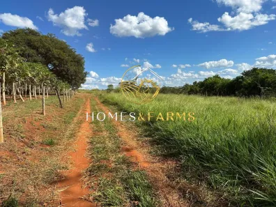 Fazenda/Sítio com 1 Quarto à venda, 2m² no , Bela Vista de Goiás