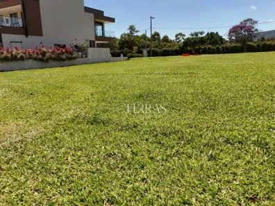 Lote/Terreno à venda, 1000m² no Jacaré, Cabreúva