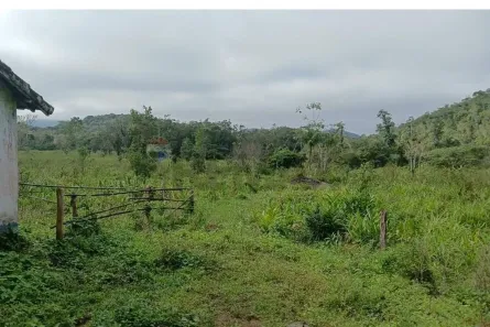 com 2 Quartos à venda, 72000m² no , Iguape