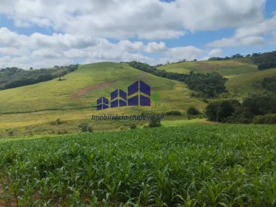 Fazenda/Sítio com 2 Quartos à venda, 2684000m² no Centro, Conceição do Rio Verde