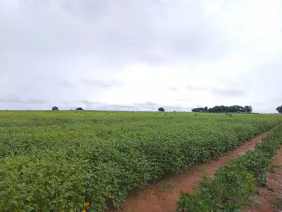 Fazenda/Sítio com 5 Quartos à venda, 52m² no , Montes Claros de Goiás