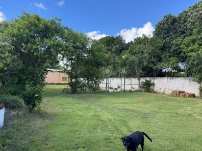 Fazenda/Sítio com 2 Quartos à venda, 1000m² no Vera Cruz, Camaragibe