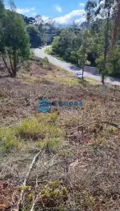 Fazenda/Sítio com 1 Quarto à venda, 16150m² no Forqueta, Caxias do Sul