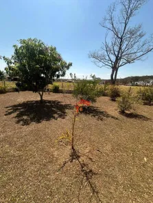 Fazenda/Sítio com 2 Quartos à venda, 125m² no , Indiara