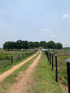 Fazenda/Sítio à venda, 550000m² no Área Rural de Campo Grande, Campo Grande