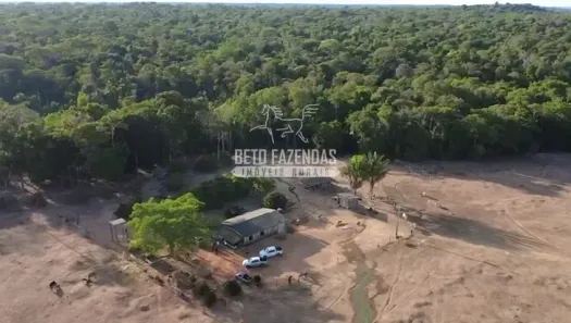 Fazenda/Sítio à venda, 45560000m² no , Apiacás