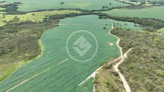 Fazenda/Sítio com 4 Quartos à venda, 292m² no Zona Rural, Abadiânia