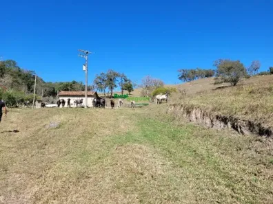 Fazenda/Sítio à venda, 169400m² no Centro, Lorena