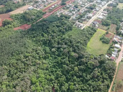 Galpão/Depósito/Armazém à venda, 12111m² no Jardim do Alto, Ivoti