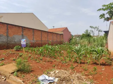 Lote/Terreno à venda, 250m² no Jandaia do Sul, Jandaia do Sul
