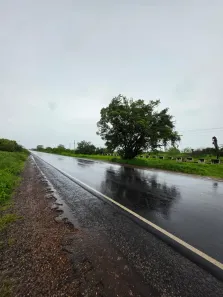 Fazenda/Sítio com 4 Quartos à venda, 4370000m² no , Baraúna