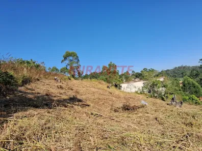 Lote/Terreno à venda, 1320m² no Pirucaia, Mairiporã