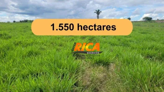 Fazenda/Sítio à venda, 15500000m² no , Nova Mamoré