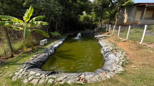 Fazenda/Sítio com 4 Quartos à venda, 350m² no Fazenda Vau das Pombas, Goiânia