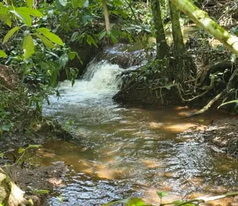 Fazenda/Sítio à venda, 170000m² no , Santa Cruz de Goiás