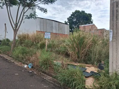 Lote/Terreno à venda, 366m² no Jardim San Remo, Bady Bassitt