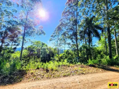Fazenda/Sítio com 1 Quarto à venda, 40000m² no Pinhal Alto, Nova Petrópolis