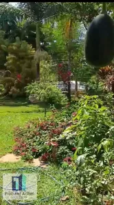 Fazenda/Sítio com 4 Quartos para alugar, 1900m² no Planaltina, Brasília