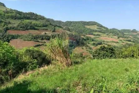 Fazenda/Sítio à venda, 93700m² no São Martinho, Santa Cruz do Sul
