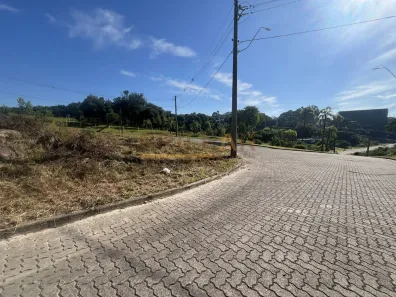 Lote/Terreno à venda, 1003m² no São Ciro, Caxias do Sul