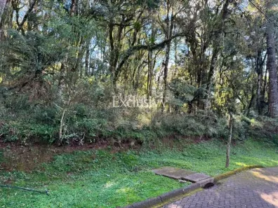 Lote/Terreno à venda, 628m² no Caracol, Canela