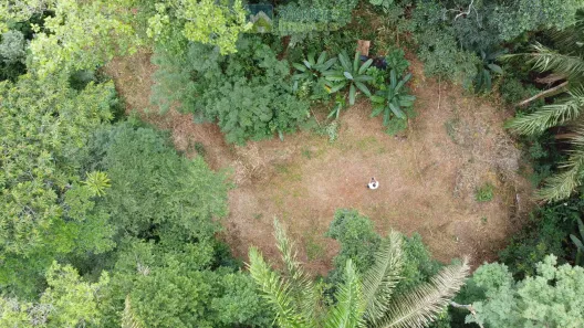 Lote/Terreno à venda, 16050m² no Vila dos Ferroviarios, Morretes
