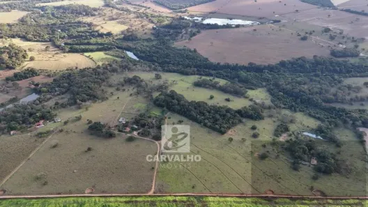 Fazenda/Sítio com 4 Quartos à venda, 576000m² no Setor Central, Bela Vista de Goiás