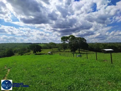 Fazenda/Sítio com 3 Quartos à venda, 26m² no Centro, Morrinhos