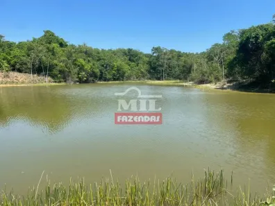 Fazenda/Sítio à venda, 500m² no , Cezarina