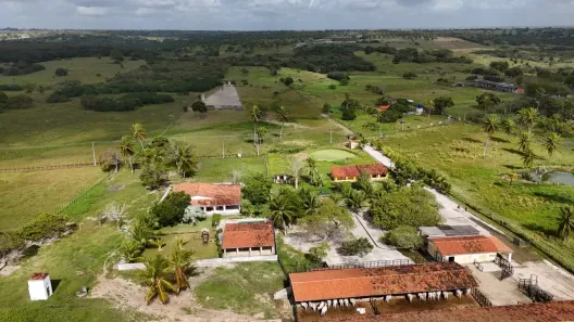 Fazenda/Sítio com 8 Quartos à venda, 105000m² no , Monte Alegre