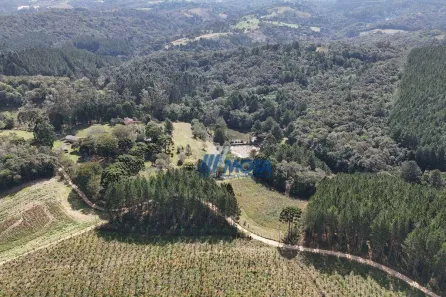 Fazenda/Sítio com 4 Quartos à venda, 500m² no Vila Sao Joao, Mandirituba