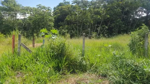 Lote/Terreno à venda, 231m² no Bela Vista, Palhoça