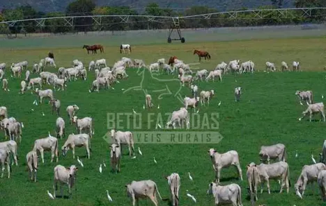Fazenda/Sítio à venda, 20320000m² no Aparecida, Pirapora