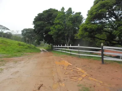 Fazenda/Sítio com 4 Quartos à venda, 90000m² no Centro, Itabirito