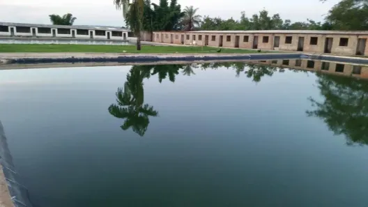 Fazenda/Sítio com 8 Quartos à venda, 40000m² no Sobradinho, Brasília