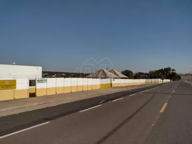 Fazenda/Sítio com 2 Quartos para alugar, 65000m² no Vila Nossa Senhora Aparecida, Araraquara