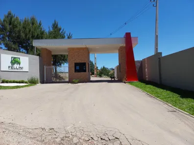 Lote/Terreno à venda, 280m² no Centro, Campina Grande do Sul