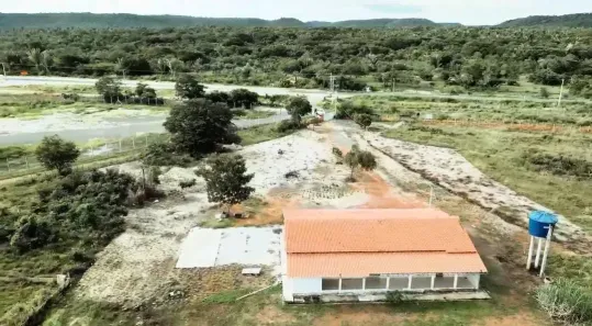 Casa com 4 Quartos à venda, 40000m² no Centro, Altos